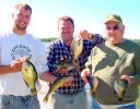 Mixed Crappie, Walleye & Bluegill Boyd Penn Group 8-17-07